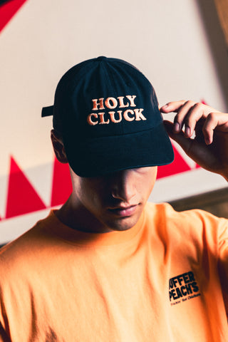 6 PANEL CAP/HOLY CLUCK BASALT