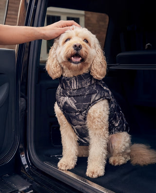 HUFFER PUFFER DOG JACKET WOODHILL/BLK