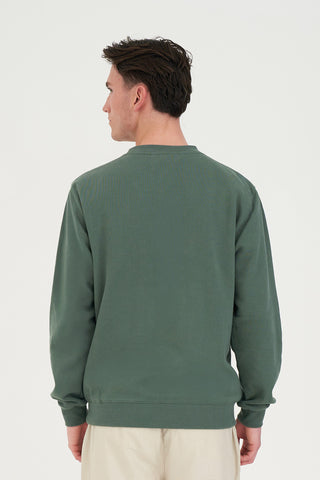 CLASSIC CREW/BASIS SAGE GREEN