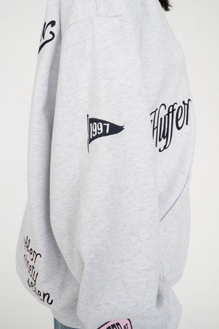 RELAX ZIP HOOD 350/MVP SILVERMARLE